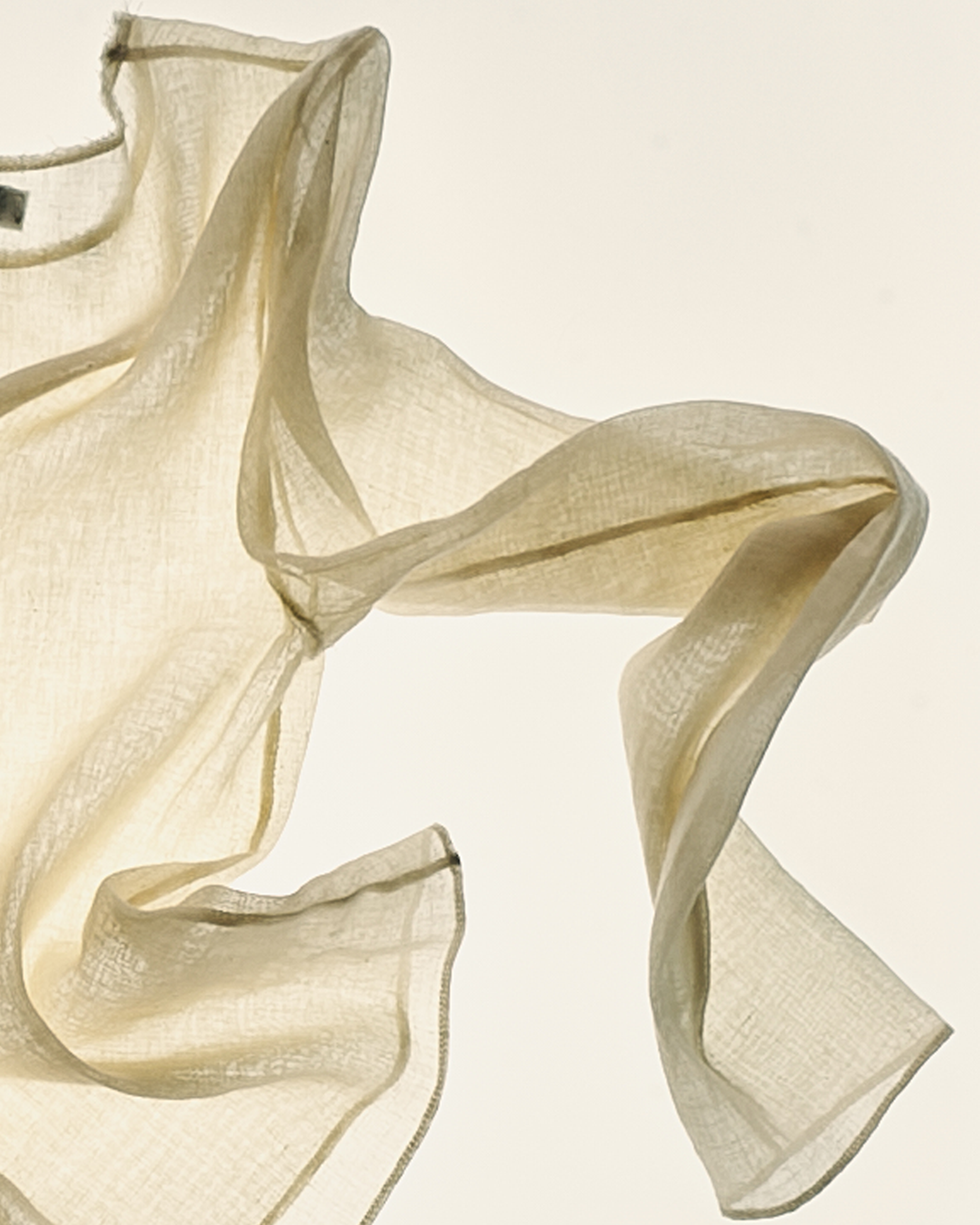 003-10 Basic T-Shirt