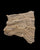 SAMPLE_HEMPSKIRTII