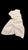 Sample_ButtonedDress